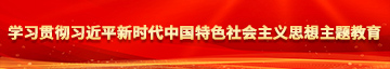 调教贱逼学习贯彻习近平新时代中国特色社会主义思想主题教育